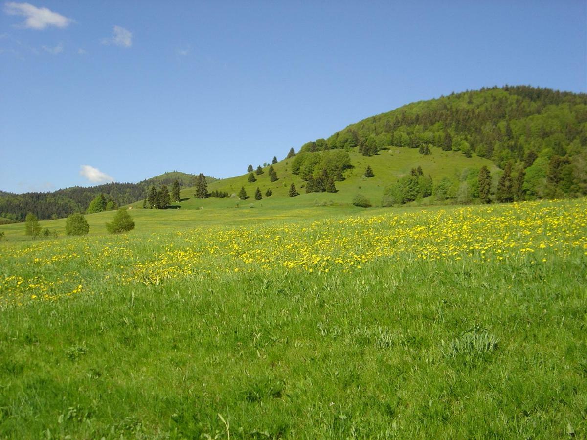 Ferienwohnungen Panoramablick Bernau im Schwarzwald Exterior foto